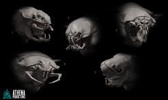 athena-productions-ap-scifi-halloweenspider-headoptions-3d-sketches (1).jpg