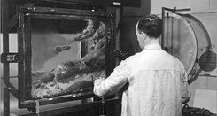 mattepaintinghistory (1).jpg